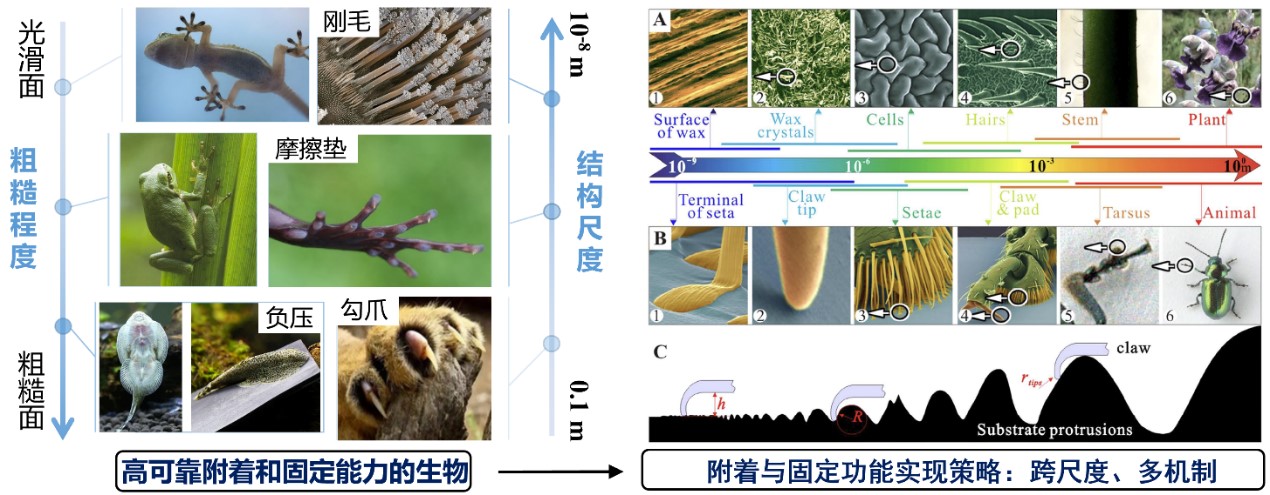 封底論文2.jpg